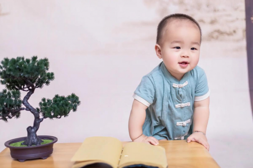 阳谷可爱的企鹅宝宝